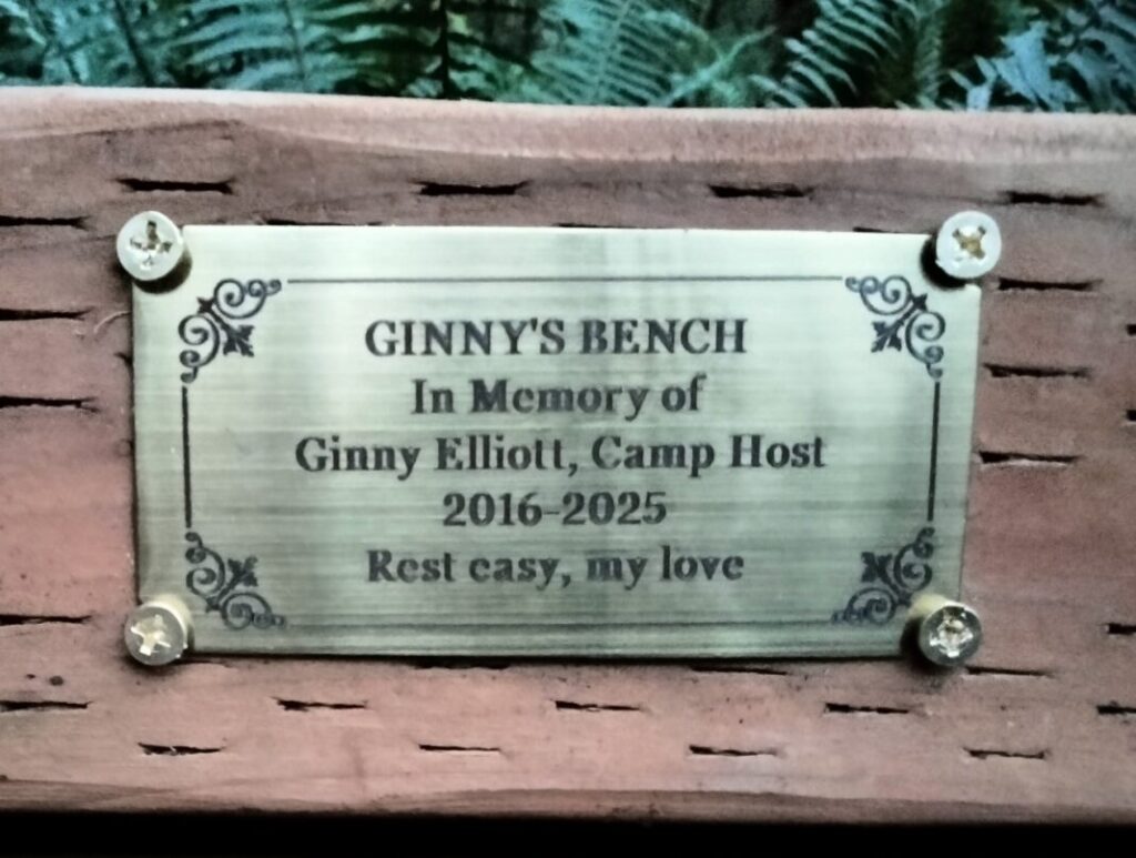 Ginnys Bench